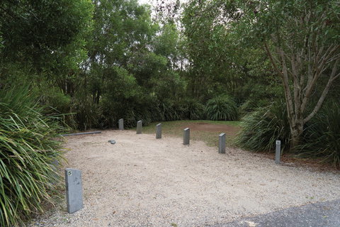 Springbrook National Park Camping - Lennox Head Accommodation 0
