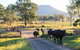 Tommerups Dairy Farmstay - thumb 0