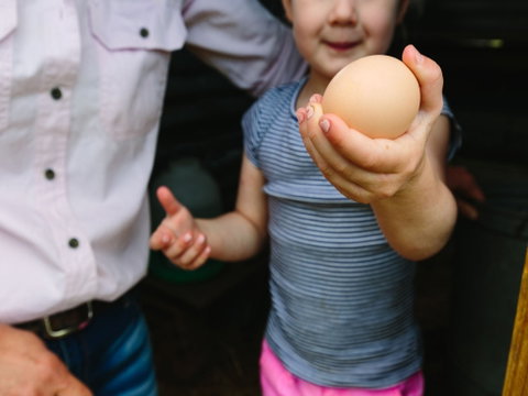 Tommerups Dairy Farmstay - Lennox Head Accommodation 1