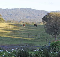 Wallaby Cottage - Lennox Head Accommodation