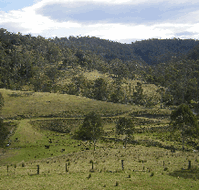Yasuragi Cabins - Lennox Head Accommodation