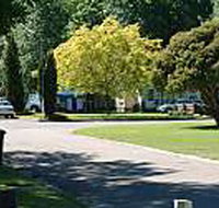 Mitchell Gardens Holiday Park - Lennox Head Accommodation