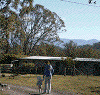 Bumblebrook Farm Motel - Lennox Head Accommodation