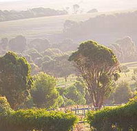 Mackas Farm - Lennox Head Accommodation