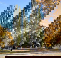 Omeo Caravan Park - Lennox Head Accommodation