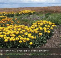 Alpine View Apartments - Lennox Head Accommodation