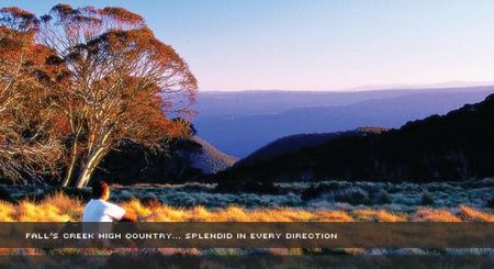 Alpine View Apartments - Lennox Head Accommodation 1