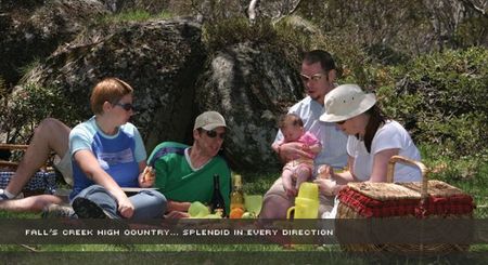 Alpine View Apartments - Lennox Head Accommodation 2