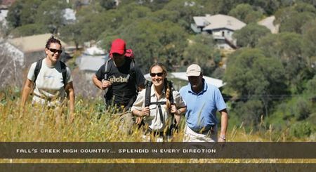 Alpine View Apartments - Lennox Head Accommodation 3