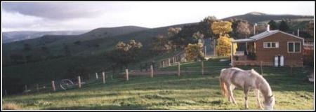 Idlewild Park Farm Accommodation - Lennox Head Accommodation 1