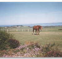 First Class Bed and Breakfast - Lennox Head Accommodation