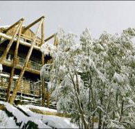 Silverski - Lennox Head Accommodation