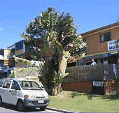 Melaluka And Costa Bella Luxury Apartments - Lennox Head Accommodation