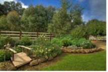 Peppermint Springs Retreat & Day Spa - Lennox Head Accommodation 2