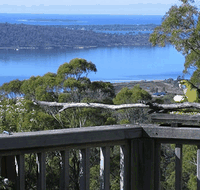 Bed in the Treetops - Lennox Head Accommodation