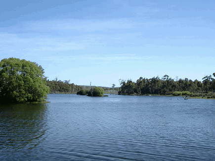 Currawong Lakes - Lennox Head Accommodation 0