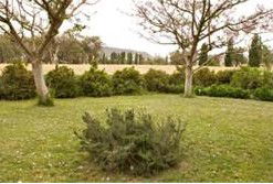 Claremont Cottage - Lennox Head Accommodation 2