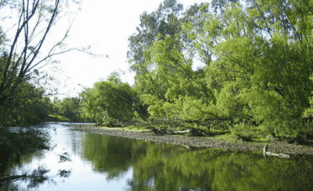 Ribbonwood Cottages - Lennox Head Accommodation