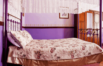 Stannum House - Lennox Head Accommodation 1