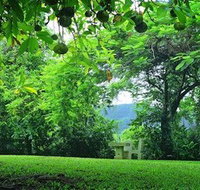 Misty Mountain Retreat - Lennox Head Accommodation
