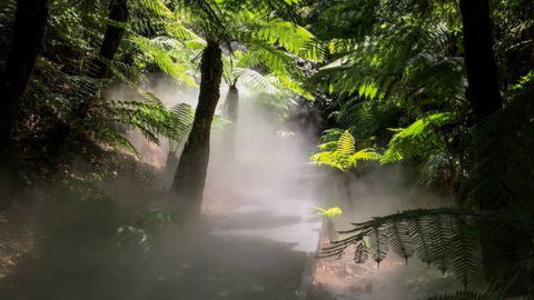 Australian National Botanic Gardens - Lennox Head Accommodation 4