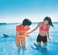 Kookaburra Air - Lennox Head Accommodation