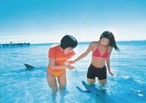 Kookaburra Air - Lennox Head Accommodation 0