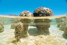 Kookaburra Air - Lennox Head Accommodation 2