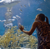 The Aquarium of Western Australia - Lennox Head Accommodation