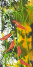 Jahroc Mill Gallery - Lennox Head Accommodation 3