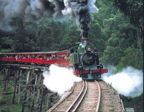 Puffing Billy - Lennox Head Accommodation 1