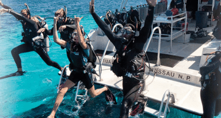 Snorkel Safari Brisbane - Lennox Head Accommodation