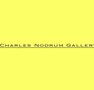 Charles Nodrum Gallery - Lennox Head Accommodation