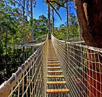 Thunderbird Park - Lennox Head Accommodation