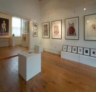 Bird's Gallery - Lennox Head Accommodation