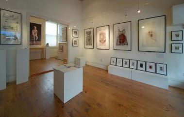 Bird's Gallery - Lennox Head Accommodation 0