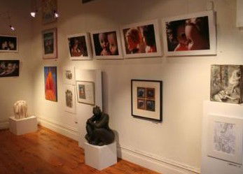 Bird's Gallery - Lennox Head Accommodation 2