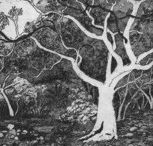Tacit Contemporary Art - Lennox Head Accommodation
