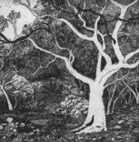 Tacit Contemporary Art - Lennox Head Accommodation 0