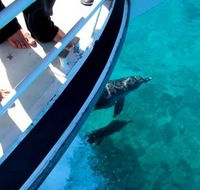 Pelican Charters - Lennox Head Accommodation