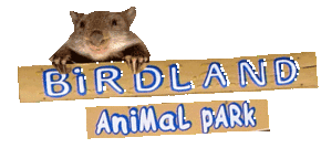 Birdland Animal Park - Lennox Head Accommodation