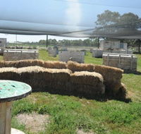 We Are Paintball - Lennox Head Accommodation