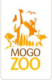 Mogo Zoo - Lennox Head Accommodation