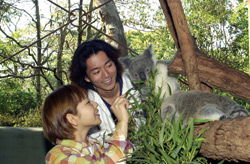 Taronga Zoo - Lennox Head Accommodation 2
