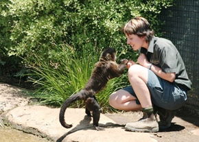 National Zoo & Aquarium - Lennox Head Accommodation 1