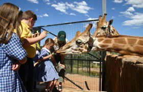 National Zoo & Aquarium - Lennox Head Accommodation 2