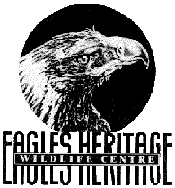 Eagles Heritage - Lennox Head Accommodation 0