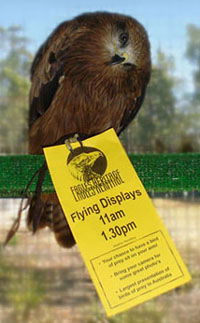 Eagles Heritage - Lennox Head Accommodation 1