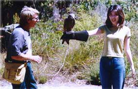 Eagles Heritage - Lennox Head Accommodation 2
