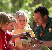 Cleland Wildlife Park - Lennox Head Accommodation